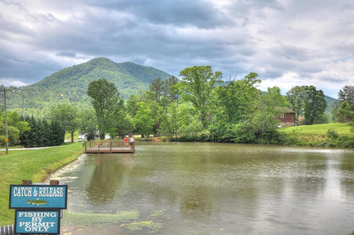 Bears Valley Inn - Great Location! - Peaceful, Children And Dog Friendly Retreat - Less Than 15 Min To All Attractions - Private Pool Club & Fishing Hole - Game Room With Tv Сев'єрвілл Екстер'єр фото